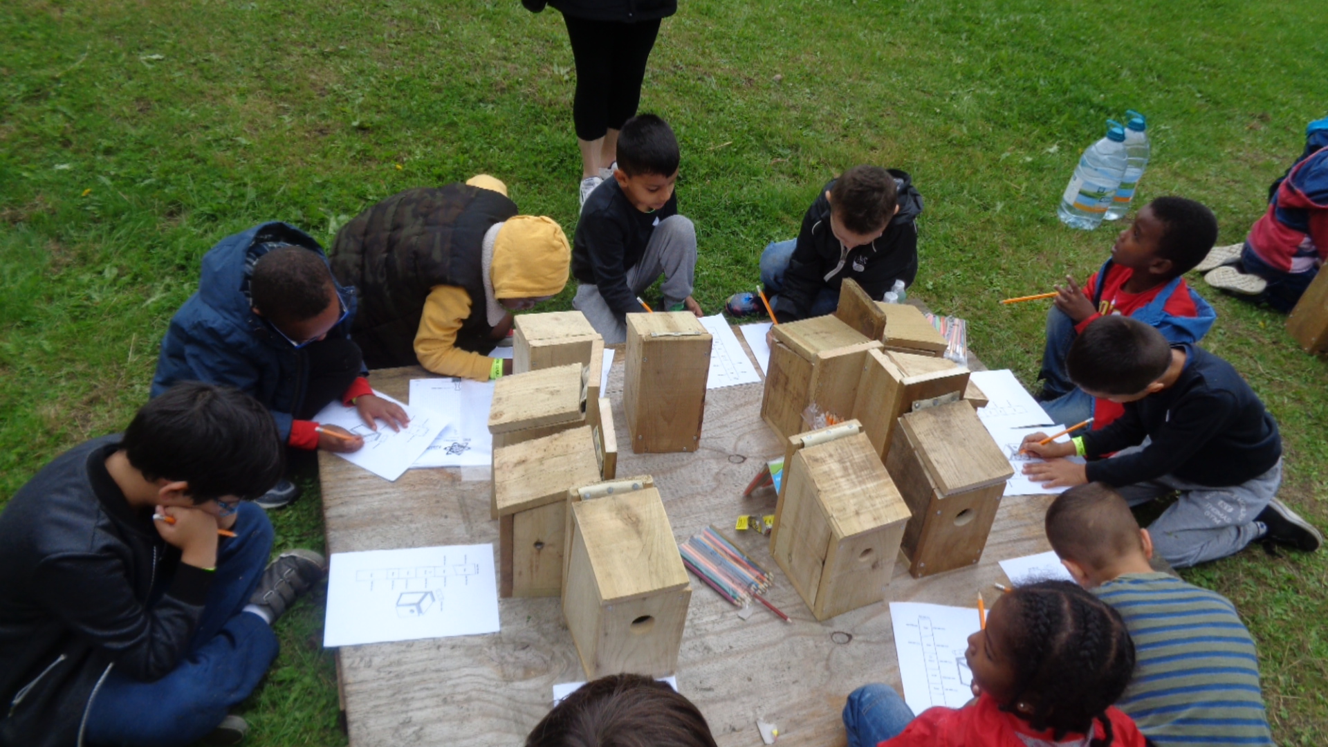 Building Bird Boxes